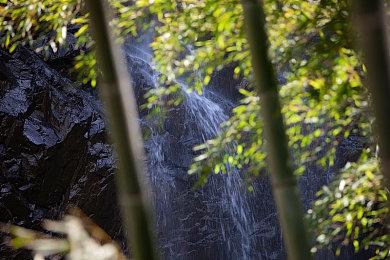 PSN网络服务今早全球范围宕机 更新：现已恢复！