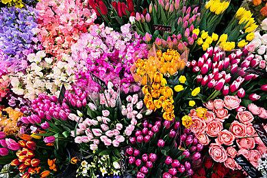 Steam正式加入录像功能 放弃支持Win7和Win8