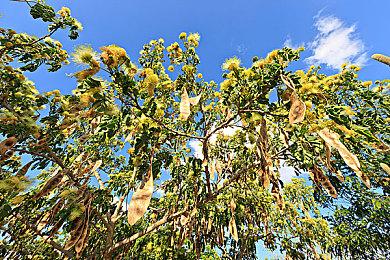 传《FF16》《FF7》《FF7重生》永远不登Xbox