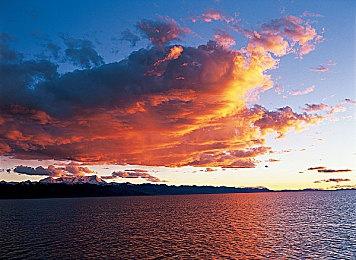 一月国产游戏版号下发：《崩坏星穹铁道》《逆水寒手游》等获得版号